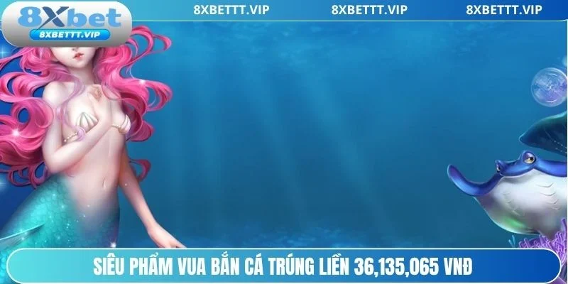 Chinh phục biển cả cùng Vua bắn cá